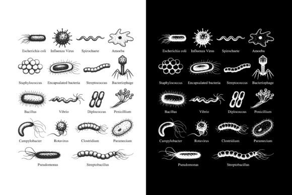 Microorganisms Vector Illustration Set